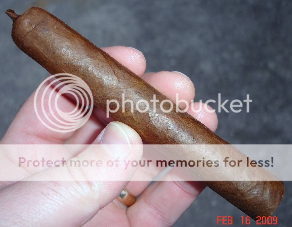 Posted Image