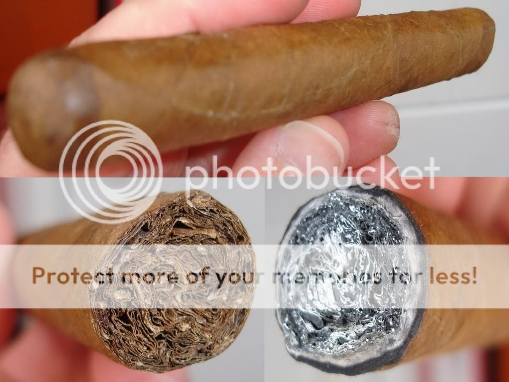 Posted Image
