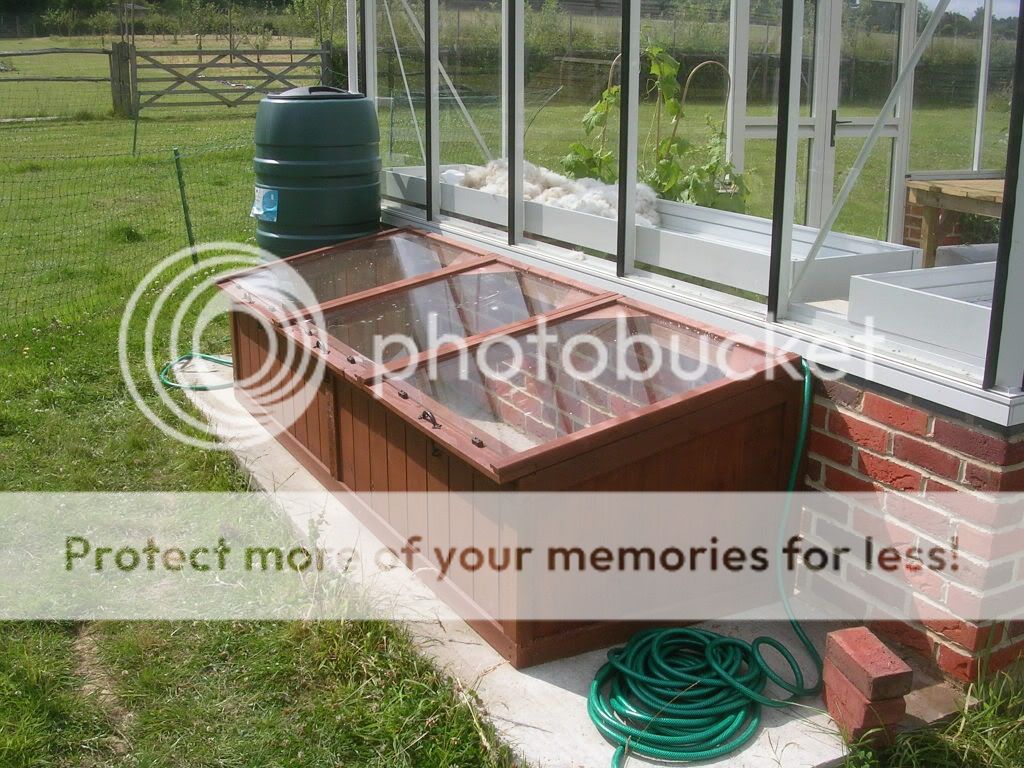 Best wood for cold frame UK