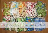 Custom Newborn Fitted Half Stash<BR>*Set of 12 + 1 FREE & Free Shipping*