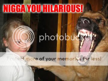 Dog Pictures, Images and Photos