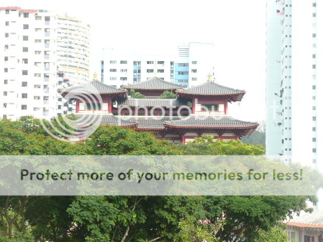 DALAT CLUB - Nơi hội tụ những người yêu Đà Lạt - 2