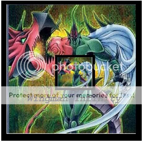 wingman.jpg?t=1240965664