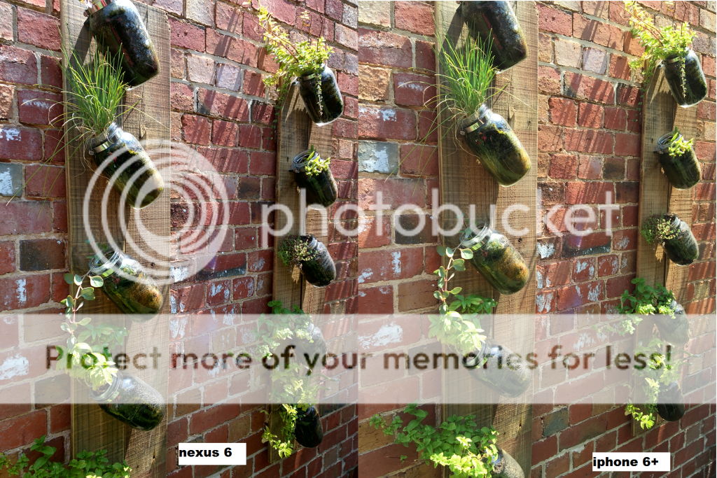 wallgardennexus6vsiphone6_zps225a2d54.png