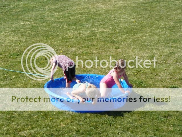 photo P1400632_zps60144caa.jpg