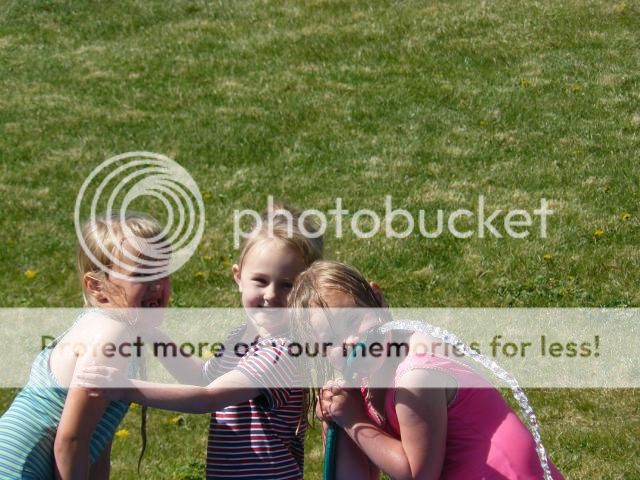 photo P1400633_zps9d7c09f5.jpg