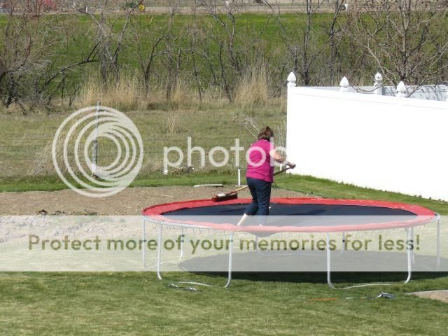 photo P1400641_zpse0e13fbf.jpg