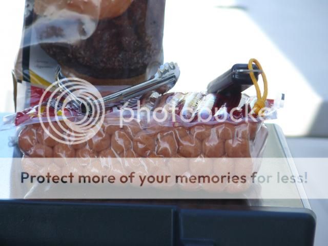 photo P1400646_zps583b96ed.jpg