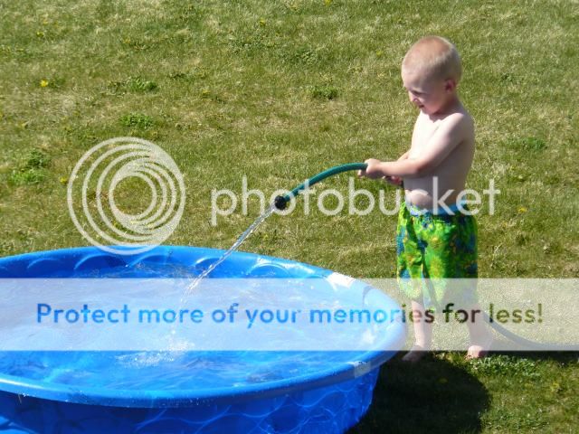 photo P1400648_zps5314b191.jpg