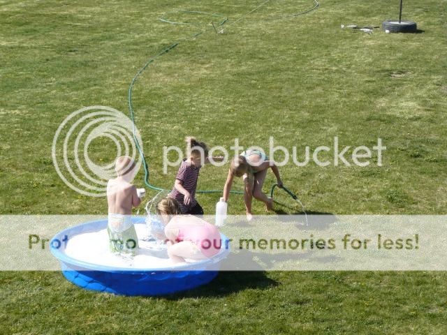 photo P1400652_zps49d4e61f.jpg