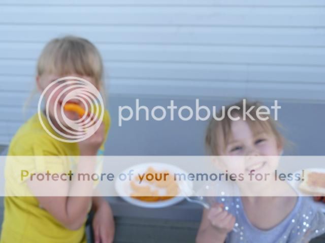 photo P1400655_zps0ff9fe78.jpg