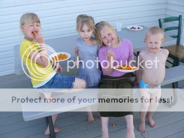 photo P1400658_zps6a295716.jpg