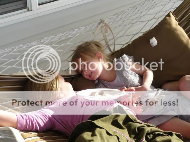 photo P1400665_zps2b6da0ef.jpg