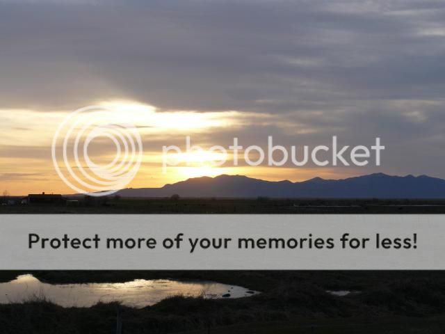 photo P1400680_zps10e09fcf.jpg