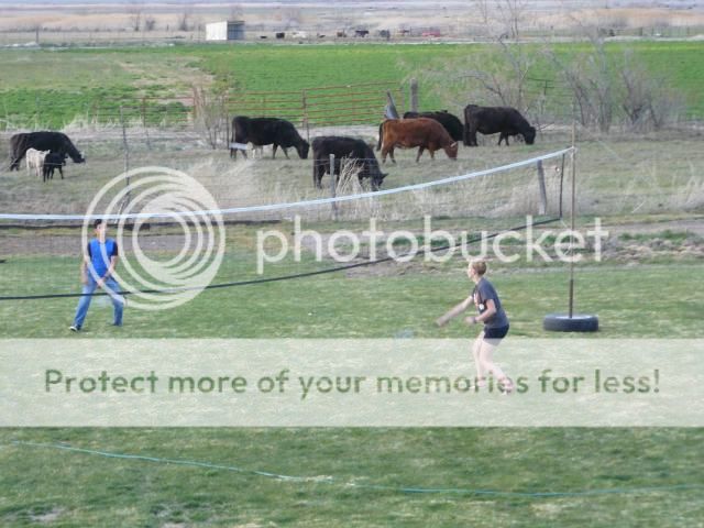 photo P1400682_zpsd7583a23.jpg