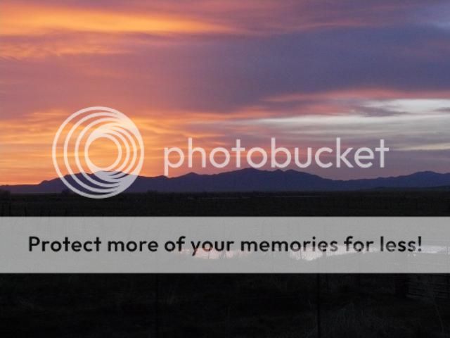 photo P1400693_zps1a714553.jpg