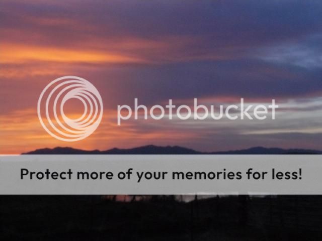 photo P1400694_zps1ee8528e.jpg