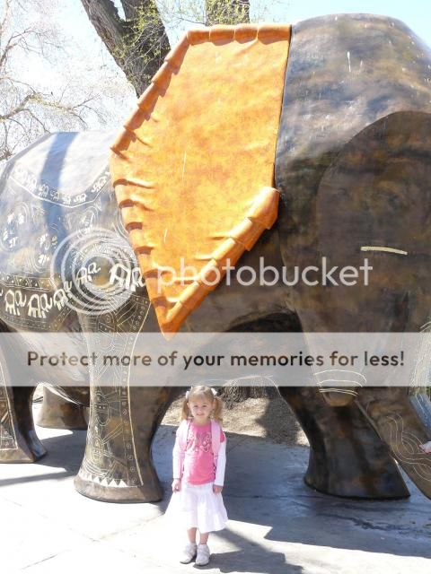 photo P1400723_zps83840f8b.jpg