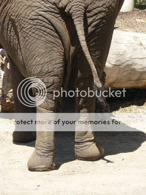 photo P1400725_zpsd52aac11.jpg