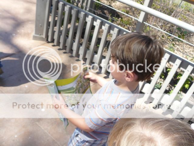 photo P1400728_zps84ca5e3a.jpg