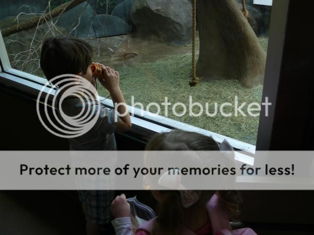 photo P1400729_zpsa7d2c066.jpg