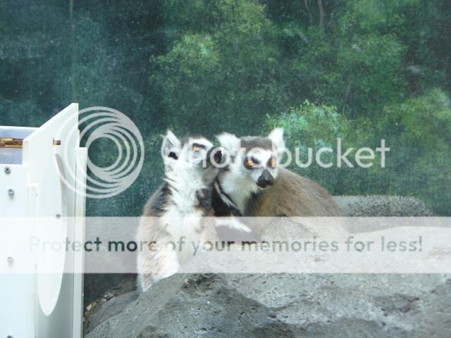 photo P1400730_zps50622f5a.jpg