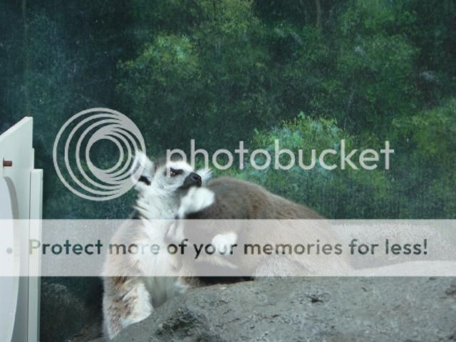 photo P1400731_zps5acf4e4d.jpg