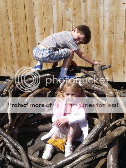 photo P1400732_zpsdf63a43a.jpg