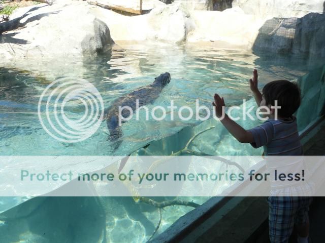 photo P1400737_zps7a566f08.jpg