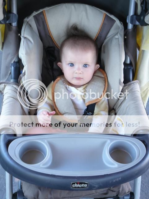 photo P1400738_zps48275021.jpg