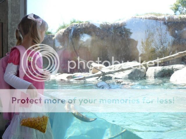 photo P1400740_zps96851e28.jpg