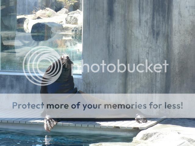 photo P1400741_zps4306cb8c.jpg