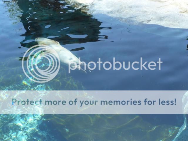 photo P1400744_zps5e1ad00a.jpg