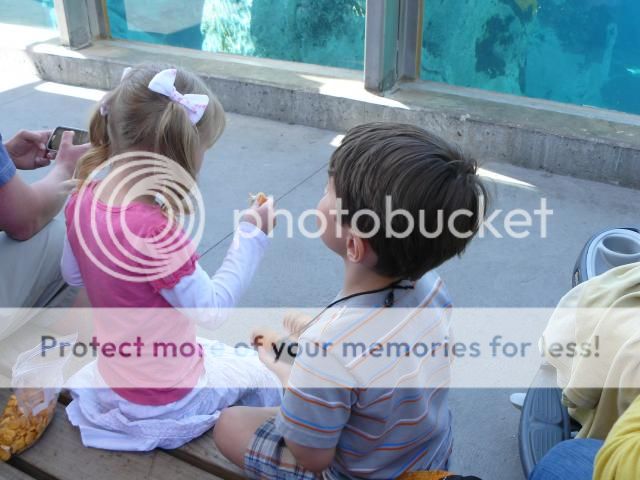 photo P1400746_zpsd5de5629.jpg