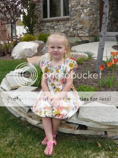 photo P1400783_zpsd56a17d9.jpg