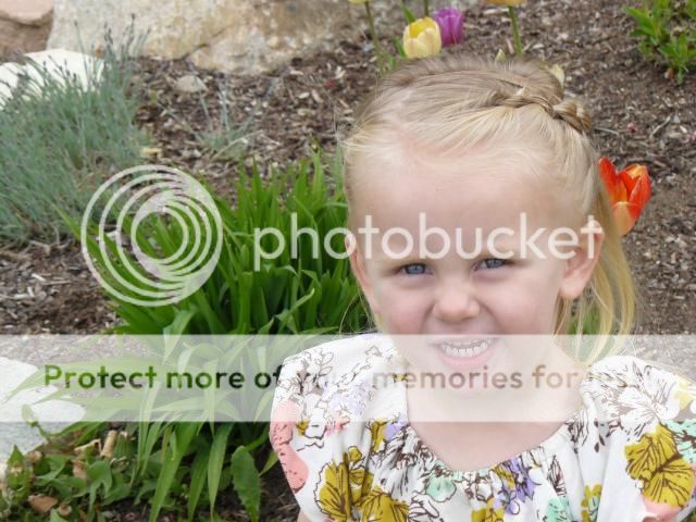 photo P1400788_zps4155d5a7.jpg