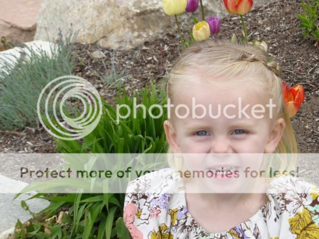 photo P1400789_zpsf341f789.jpg