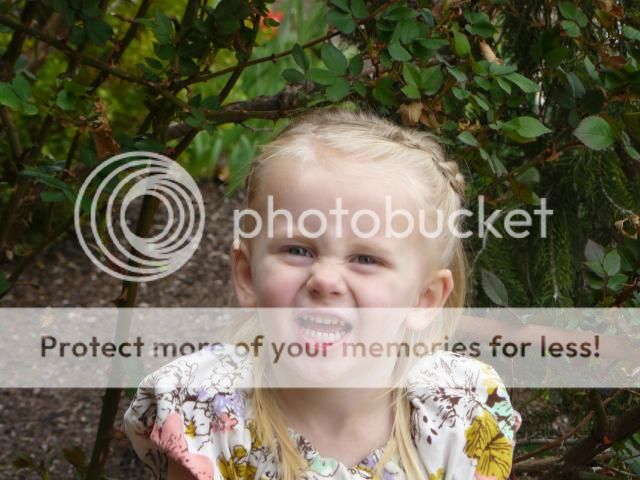 photo P1400806_zps3116fcbb.jpg