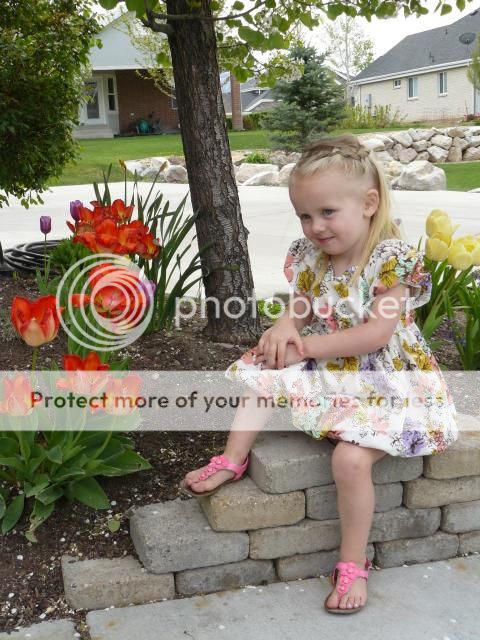 photo P1400808_zpsc30b8d10.jpg