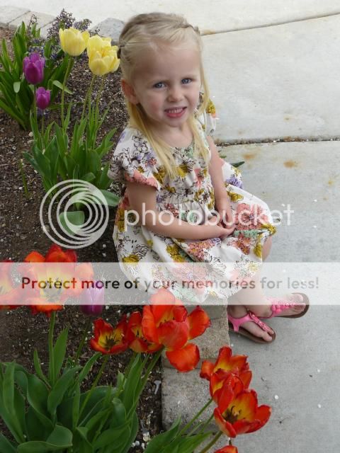 photo P1400811_zps1d722cf2.jpg