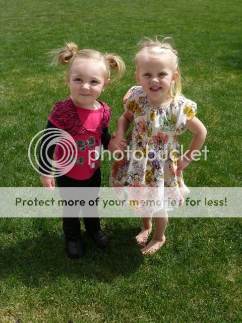 photo P1400821_zps4350c6fd.jpg