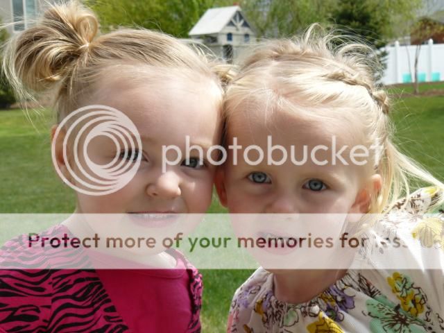 photo P1400824_zps84f75c98.jpg