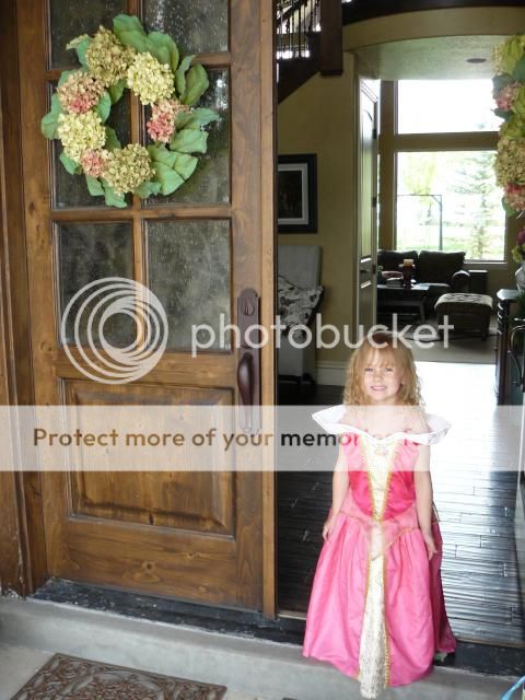 photo P1400860_zpsda0ba4b4.jpg