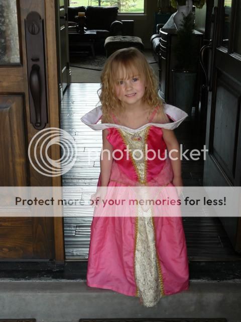 photo P1400861_zps057c7986.jpg