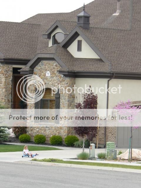 photo P1400864_zps431a2a36.jpg