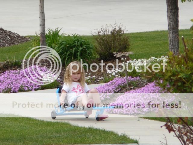 photo P1400866_zps3209fc3f.jpg