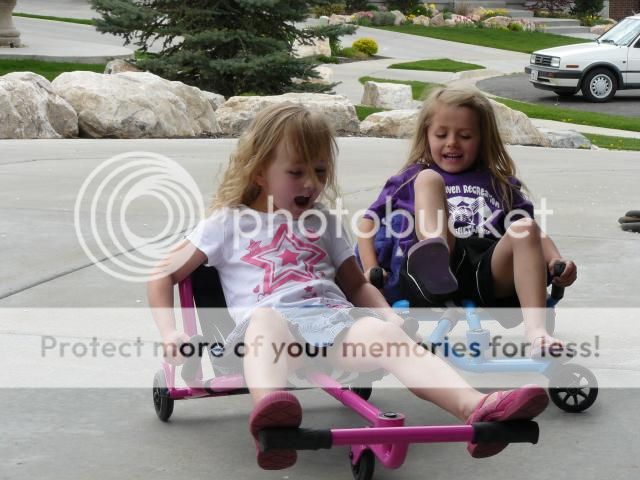 photo P1400878_zpsbbd80693.jpg